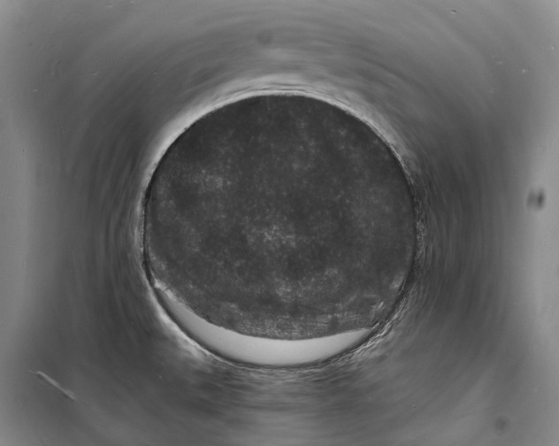 X0000098231527200805151328