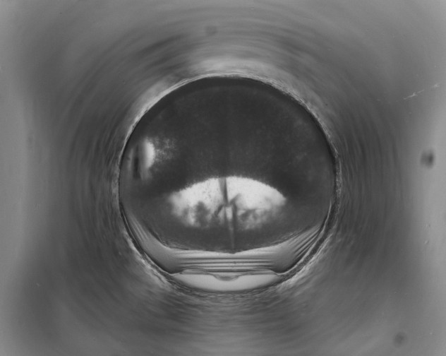 X0000098231529200805151328