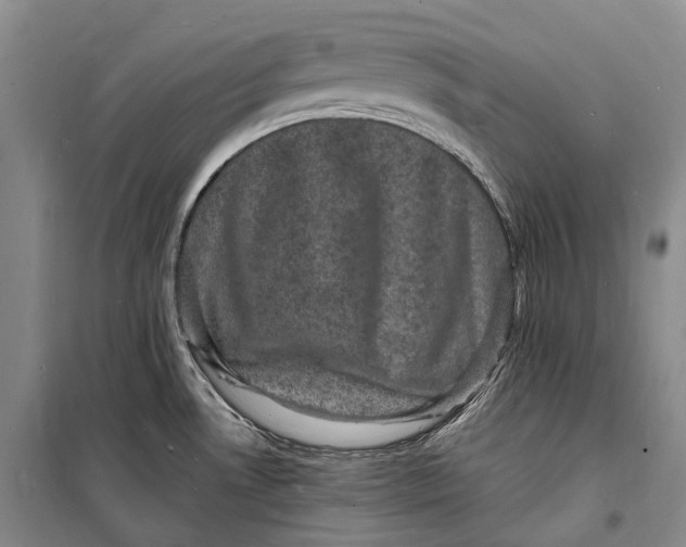 X0000098231530200805151328