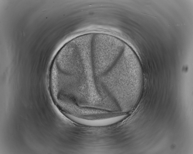 X0000098231531200805151329