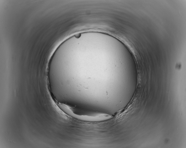 X0000098231532200805151329