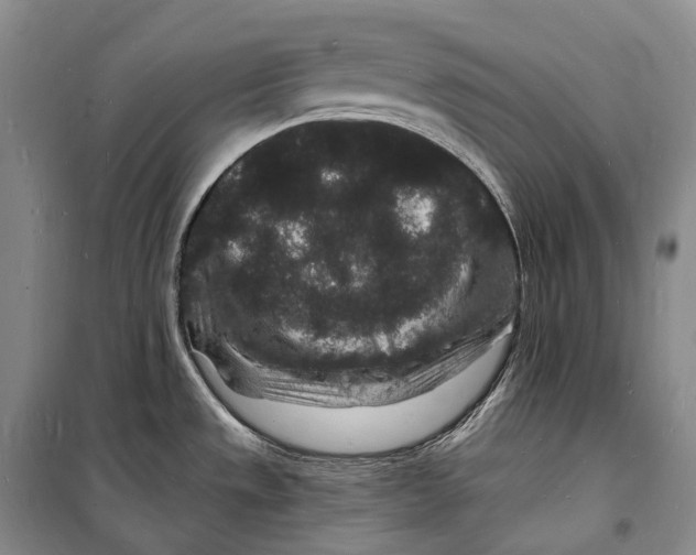 X0000098231533200805151329