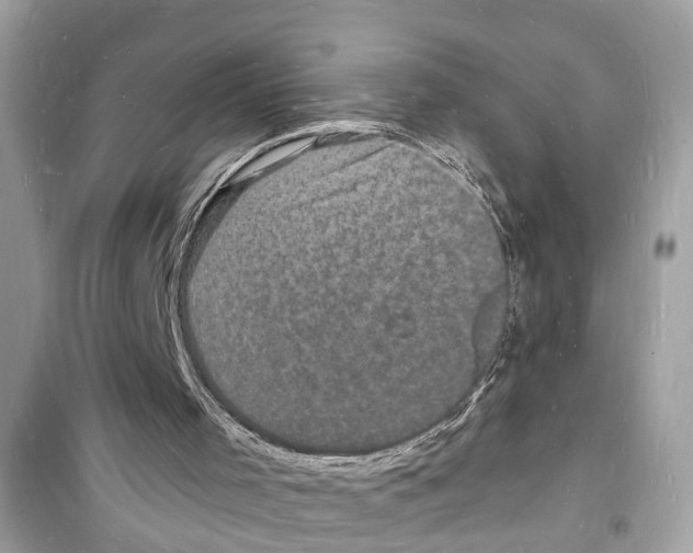 X0000098230001200805221721