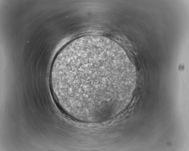 X0000098230003200805221721