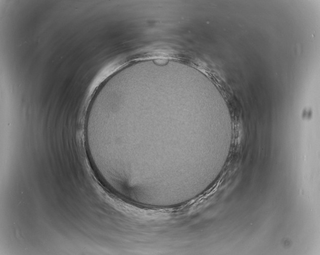 X0000098230004200805221721