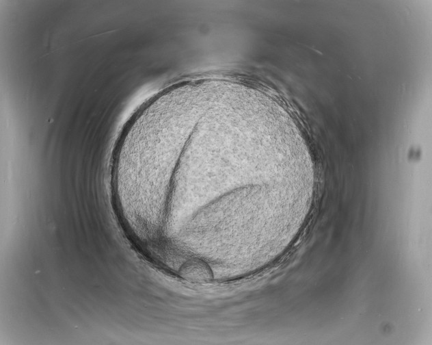 X0000098230006200805221721