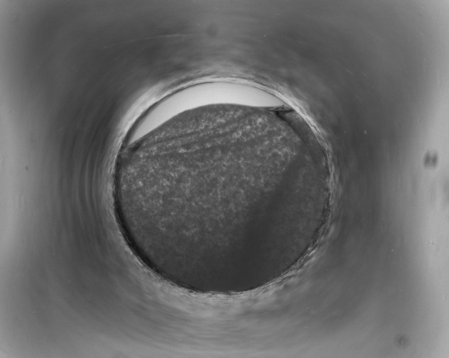 X0000098230007200805221721