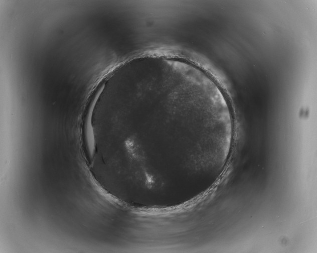 X0000098230009200805221721