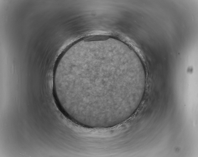 X0000098230011200805221721