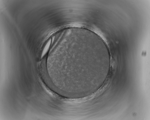 X0000098230013200805221721