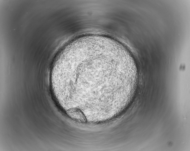 X0000098230014200805221721