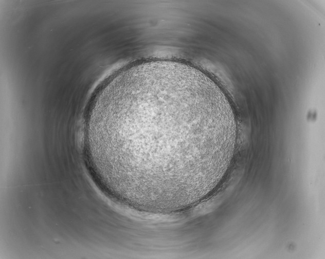 X0000098230016200805221721