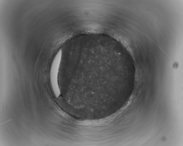 X0000098230017200805221721