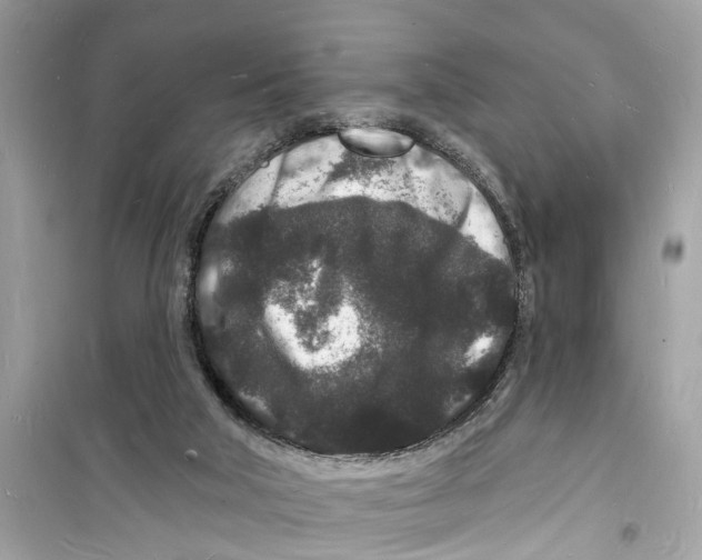 X0000098230018200805221721