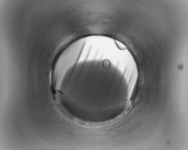 X0000098230019200805221721