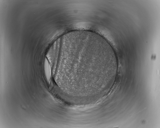 X0000098230021200805221721