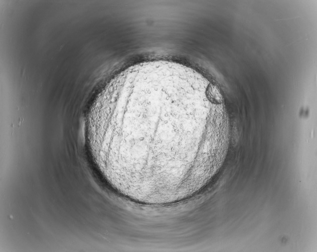 X0000098230022200805221721