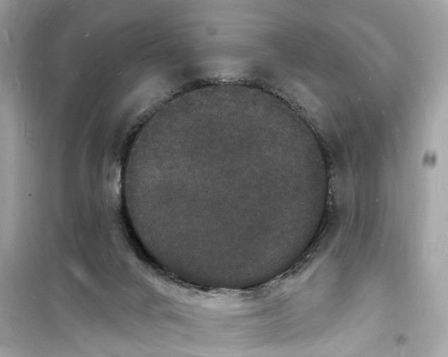 X0000098230024200805221721