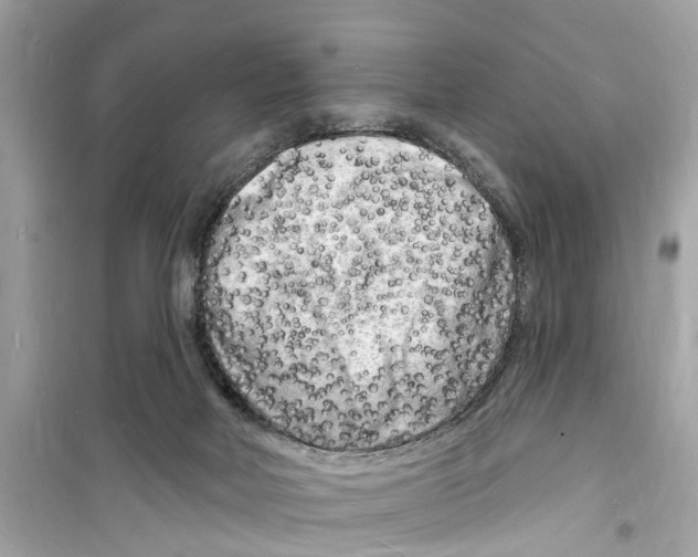 X0000098230026200805221721