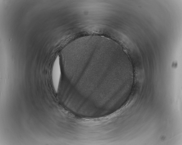 X0000098230029200805221721