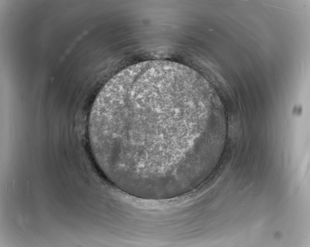 X0000098230030200805221721