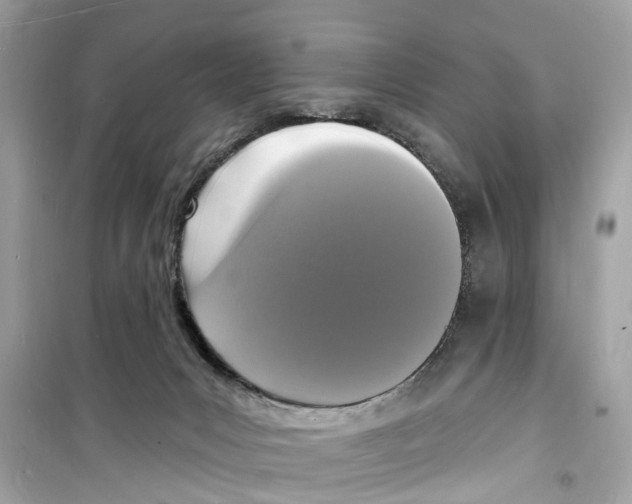 X0000098230031200805221721