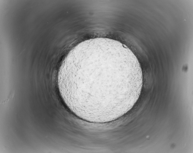 X0000098230034200805221721