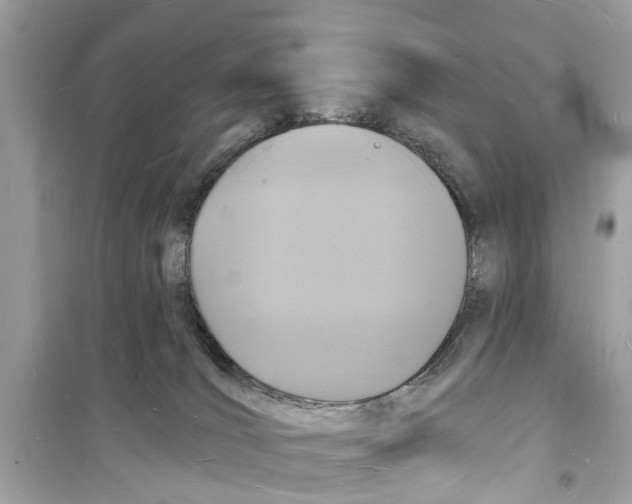 X0000098230036200805221721