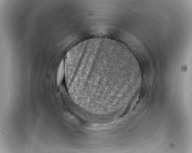 X0000098230037200805221721