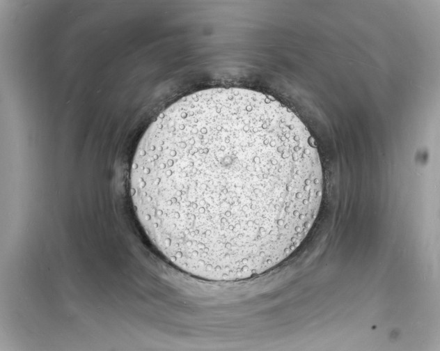 X0000098230038200805221721