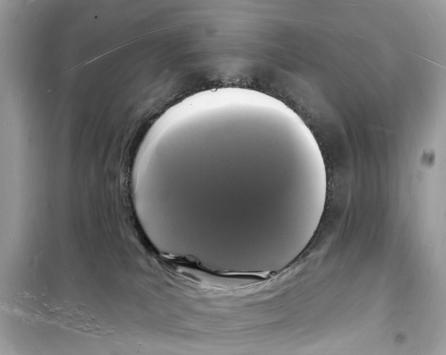 X0000098230039200805221721