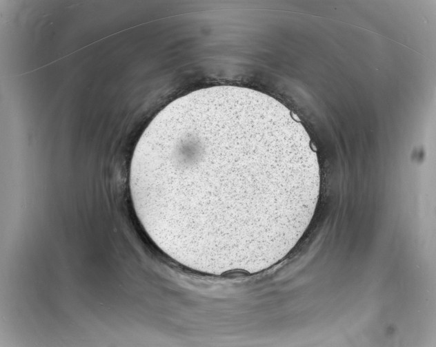 X0000098230040200805221721