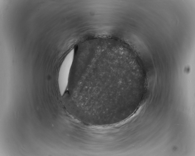 X0000098230041200805221721