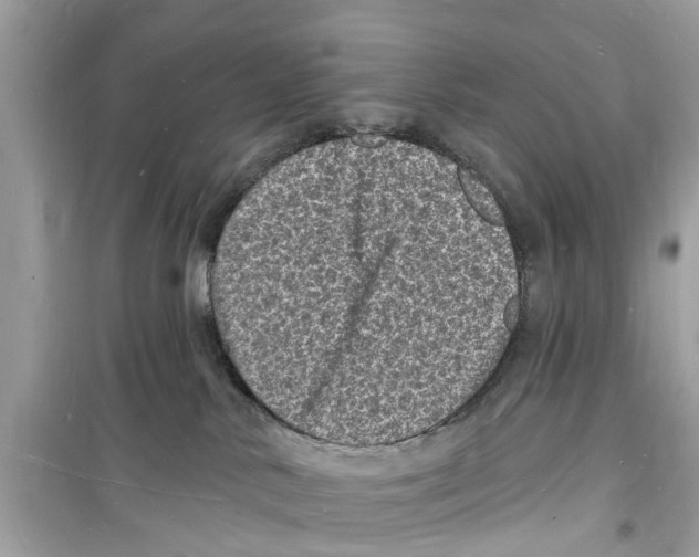 X0000098230042200805221721