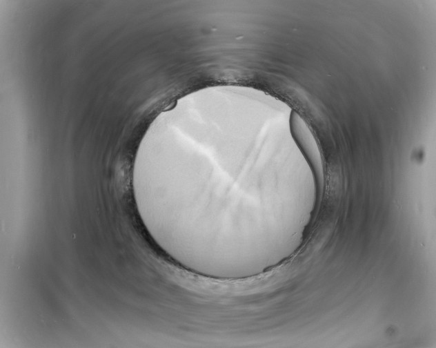 X0000098230043200805221720