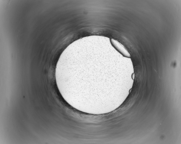 X0000098230044200805221720