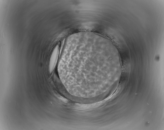 X0000098230045200805221720