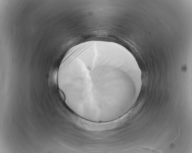 X0000098230047200805221720