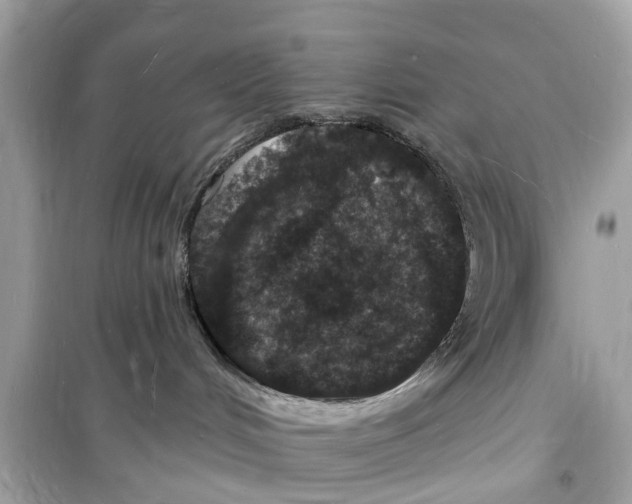 X0000098230048200805221720