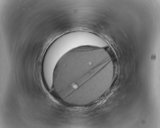 X0000098230049200805221720