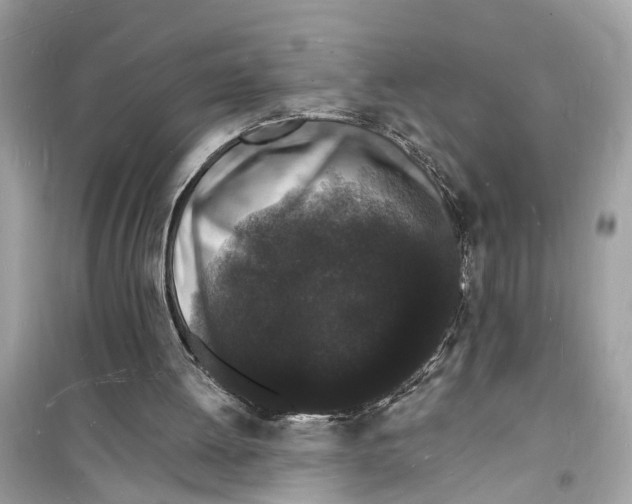 X0000098230052200805221720