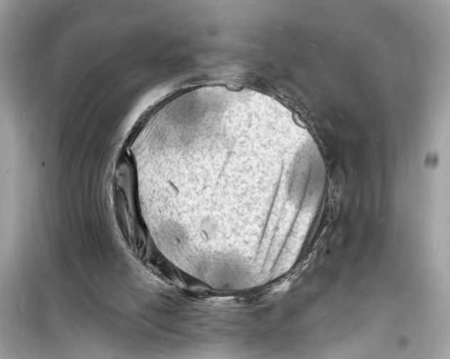 X0000098230054200805221720