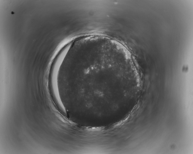 X0000098230056200805221720