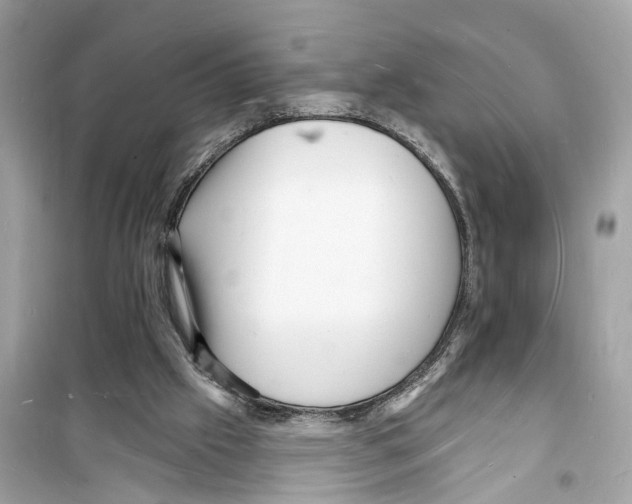 X0000098230057200805221720