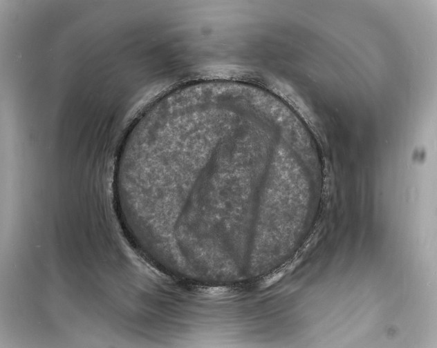 X0000098230058200805221720