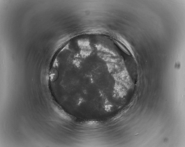 X0000098230059200805221720