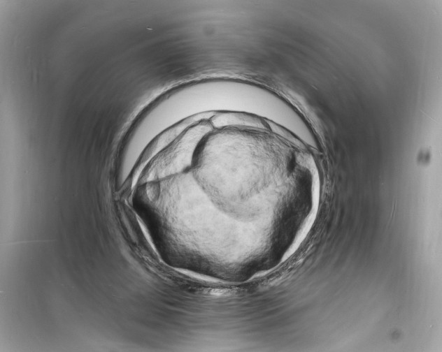 X0000098230060200805221720