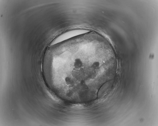 X0000098230061200805221720