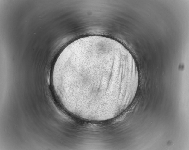 X0000098230062200805221720