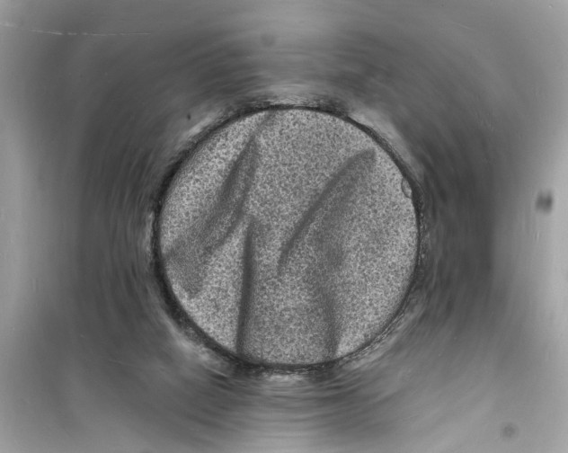 X0000098230066200805221720